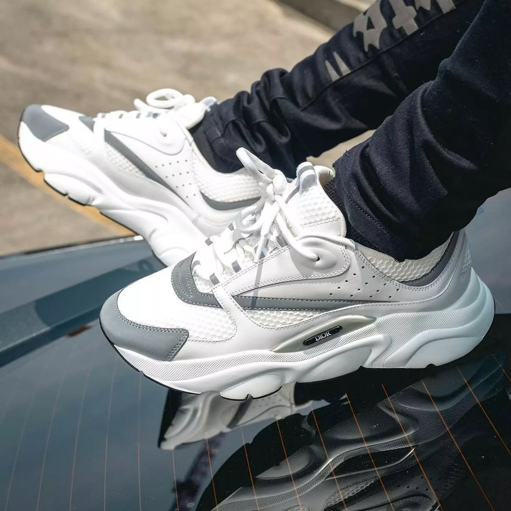 Dior B22 White Grey Reflective